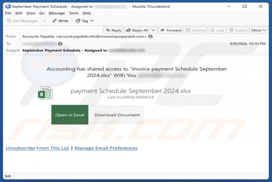 Accounting Has Shared Access Email Scam