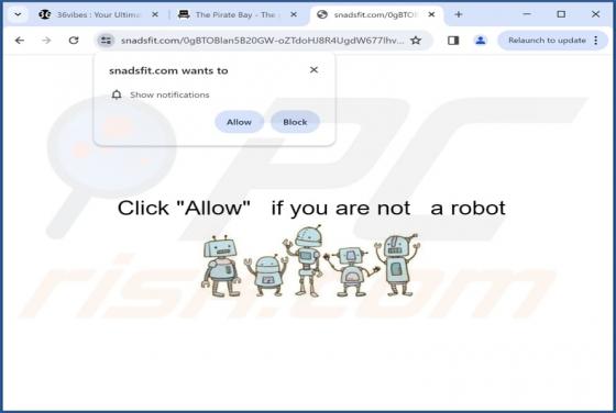 Snadsfit.com Ads
