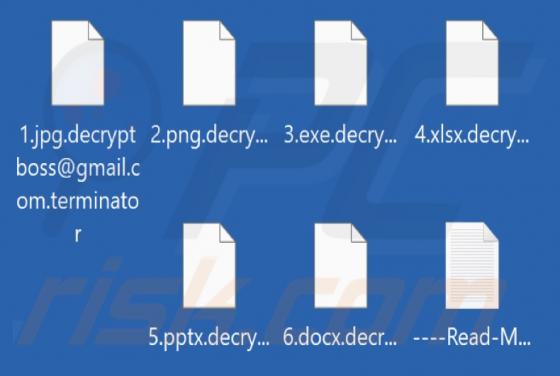 Terminator Ransomware