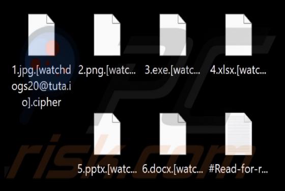 Cipher (Proton) Ransomware