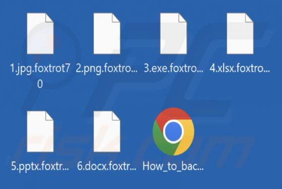 Foxtrot Ransomware