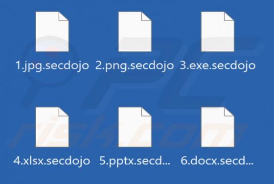 Secdojo Ransomware