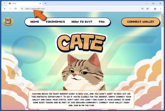 $CATE Airdrop Scam