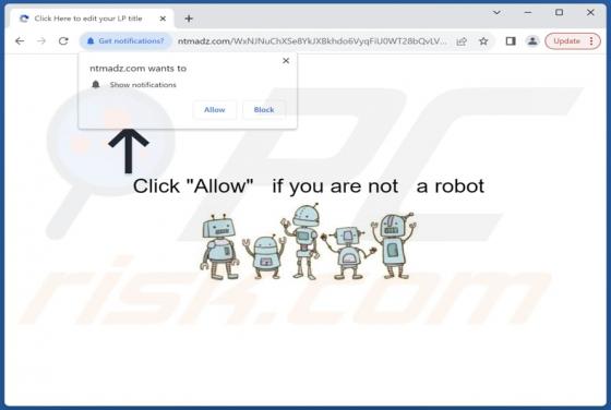Ntmadz.com Ads
