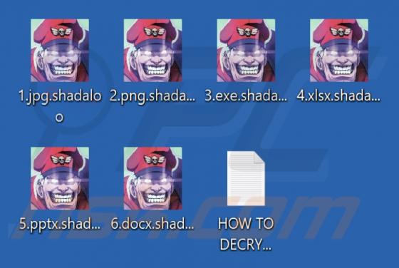 Shadaloo Ransomware