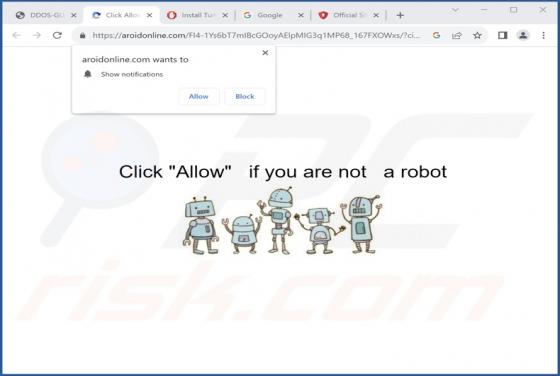 Aroidonline.com Ads