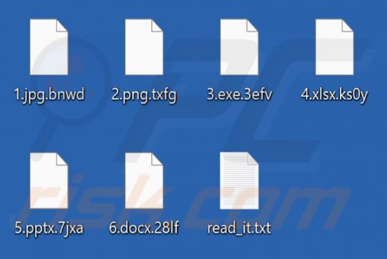 Mr.Dark101 Ransomware