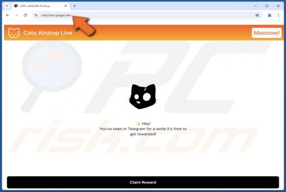 $CATS Airdrop Live Scam