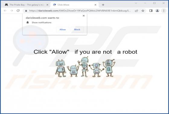 Darioleweb.com Ads