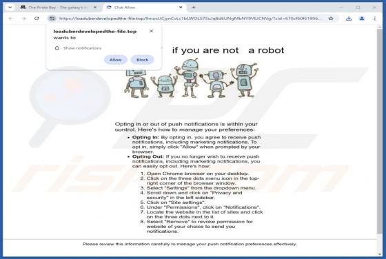 Loaduberdevelopedthe-file.top Ads