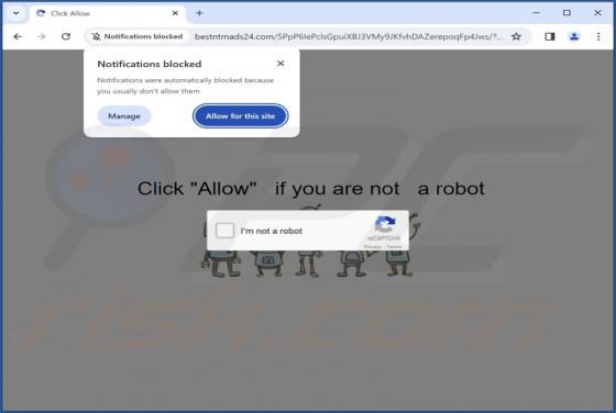 Bestntmads24.com Ads