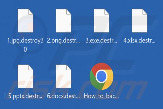 Destroy Ransomware