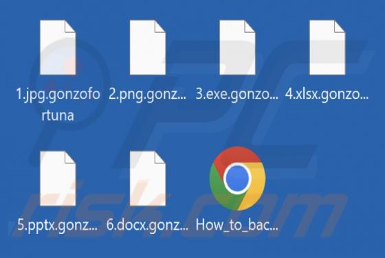 GonzoFortuna Ransomware