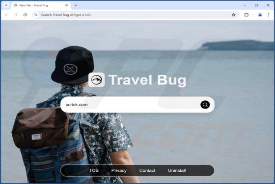 Travelbugtab.com Redirect