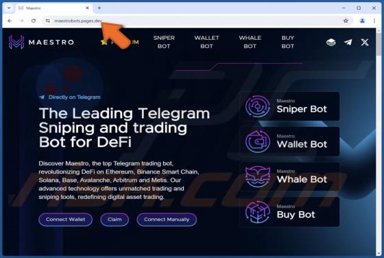 Maestro Scam