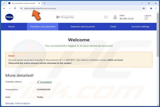 Fake BitPay Wallet Scam