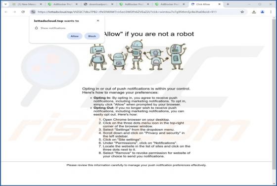 Lottadscloud.top Ads