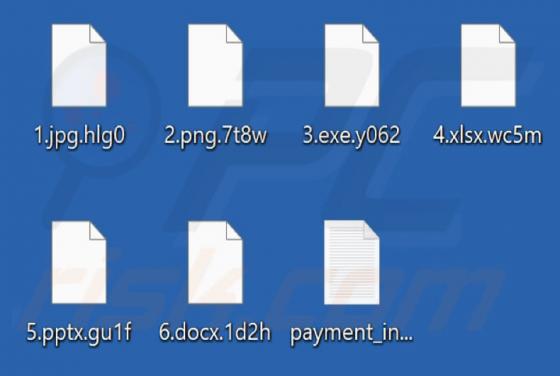 Killer Skull Ransomware