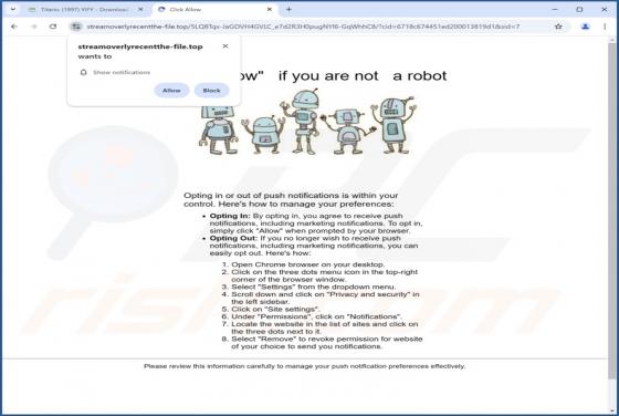 Streamoverlyrecentthe-file.top Ads