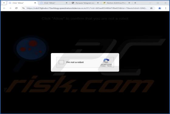 Speednetworkdevice.co.in Ads