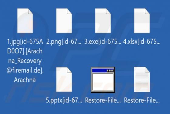 Arachna Ransomware