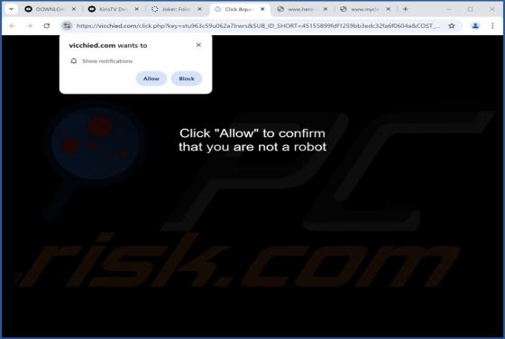 Vicchied.com Ads