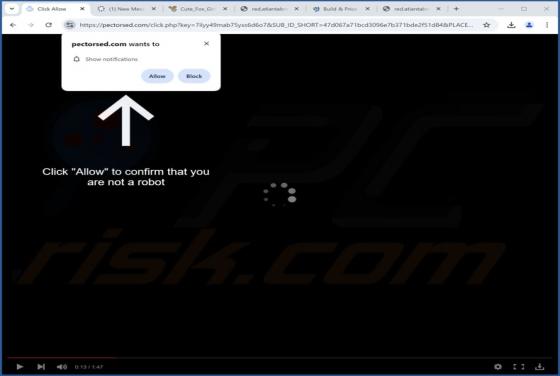 Pectorsed.com Ads