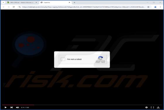Rokinat.co.in Ads