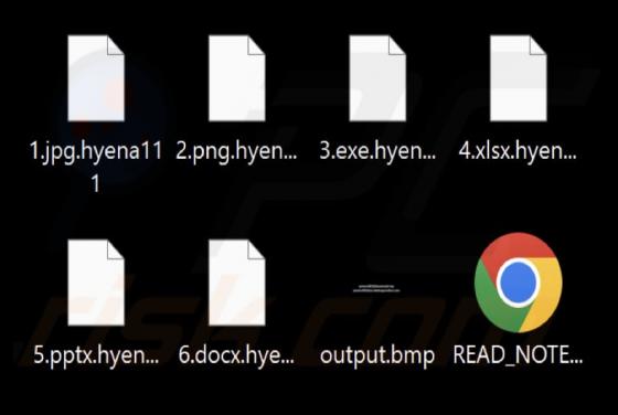 Hyena Ransomware