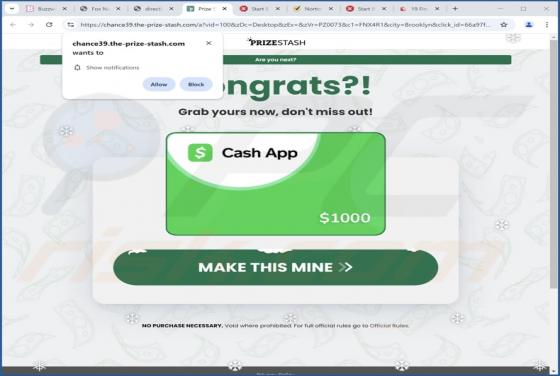 The-prize-stash.com Ads