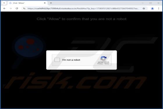 Risotoska.co.in Ads