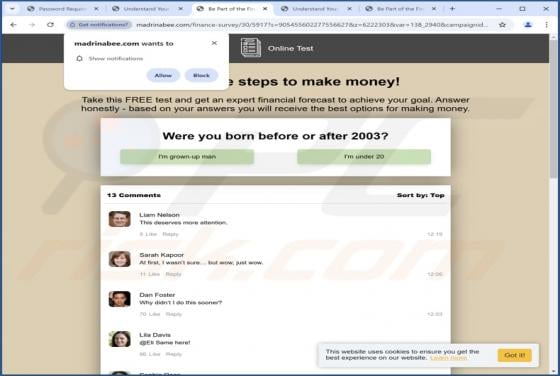 Madrinabee.com Ads