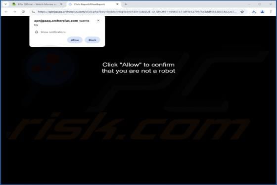 Archerclus.com Ads
