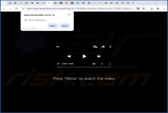 Sereq.click Ads