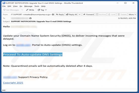 Update Your Domain Name System Security (DNSS) Email Scam