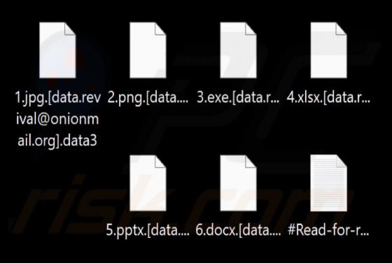 Data Ransomware