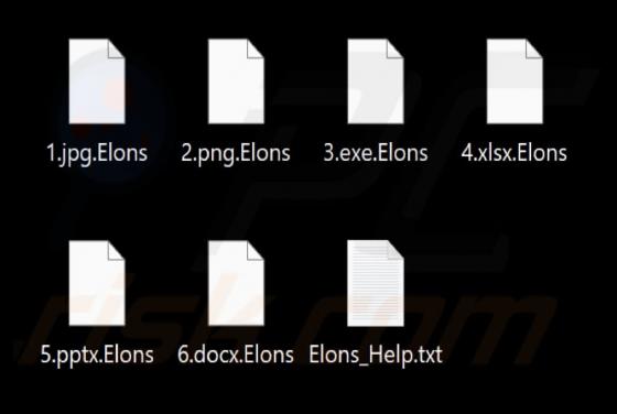 Elons Ransomware