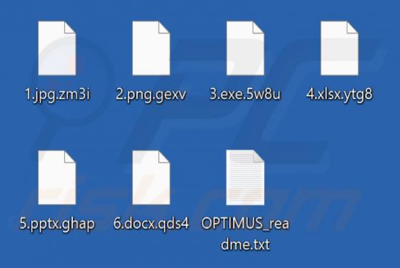 Optimus (Chaos) Ransomware