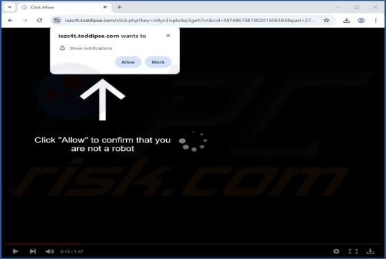 Toddipse.com Ads