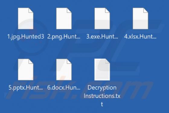 CrazyHunter Ransomware