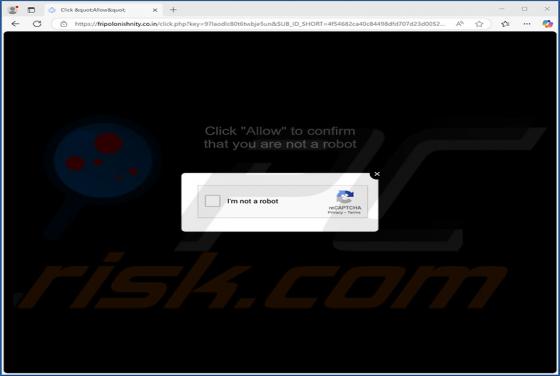 Fripolonishnity.co.in Ads