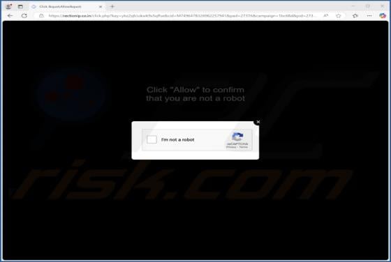 Rectionip.co.in Ads