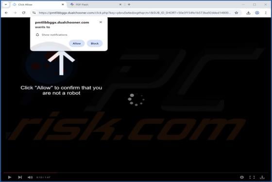 Dualchooner.com Ads