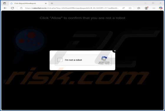 Calenital.co.in Ads