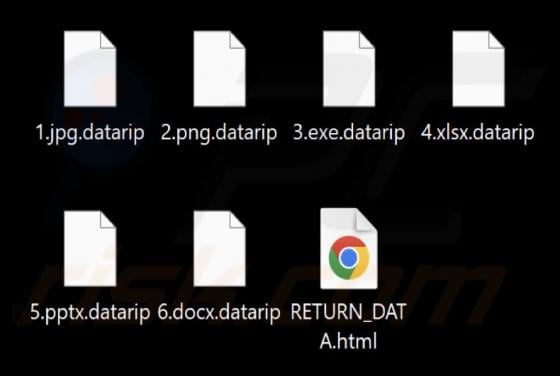 Datarip Ransomware
