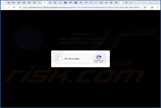 Bridgesyncsolutions.com Ads