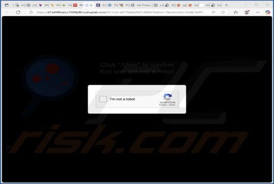 Rushuplab.co.in Ads