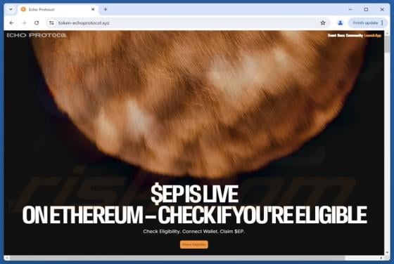Fake Echo Protocol Website