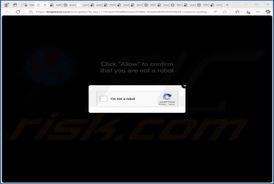 Ecaptewos.co.in Ads
