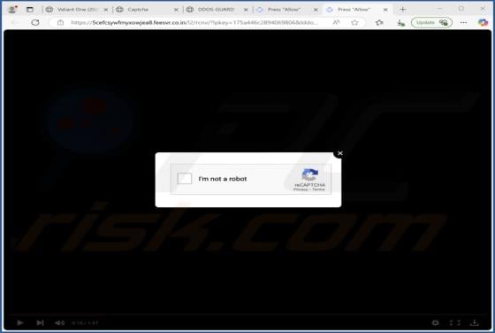 Feesvr.co.in Ads